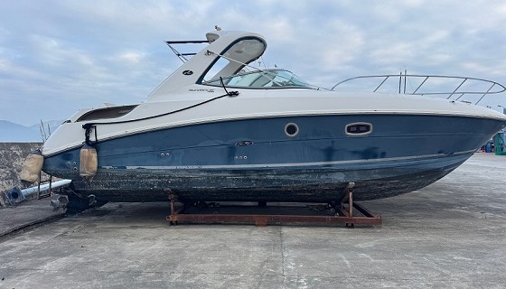 Sea Ray 31