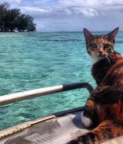 T20150813(8).jpg T20150813(8).jpg