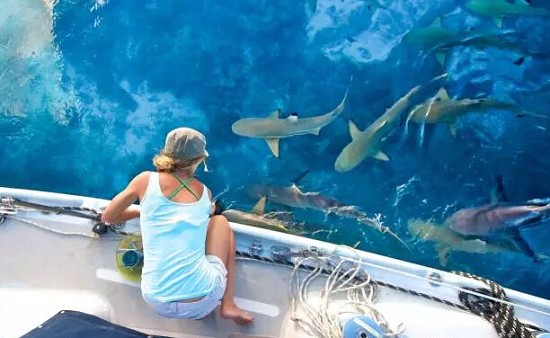 T20150813(13).jpg T20150813(13).jpg