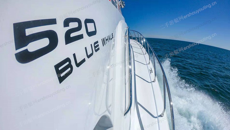 BLUEWHALE 520专业游钓艇