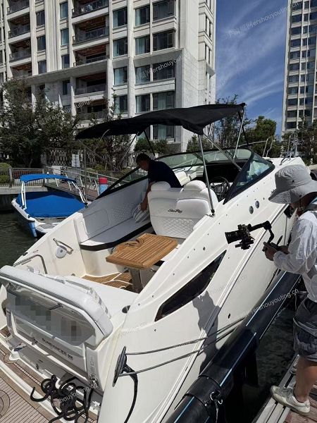 SeaRay 265